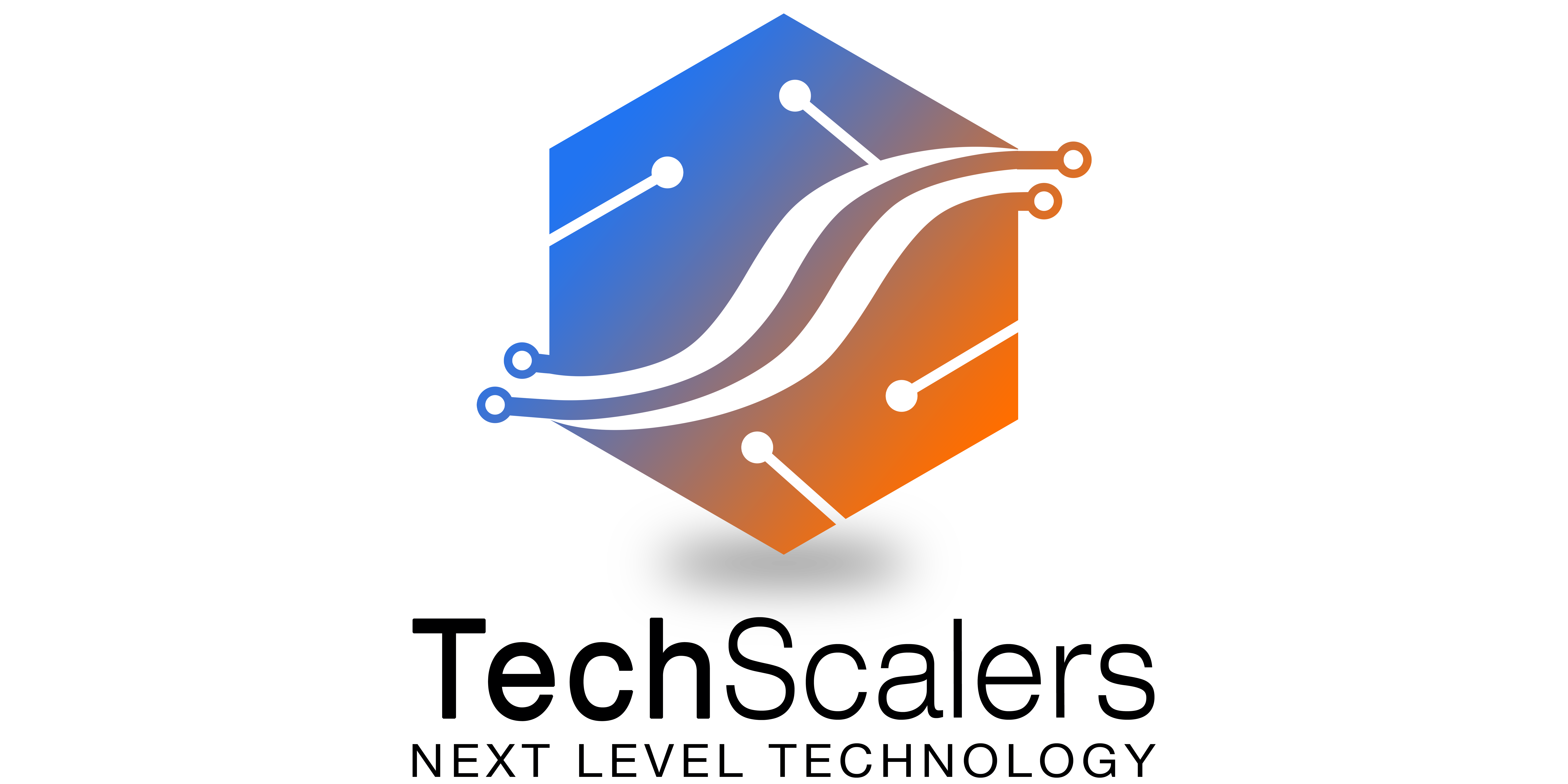 TechScalers Logo
